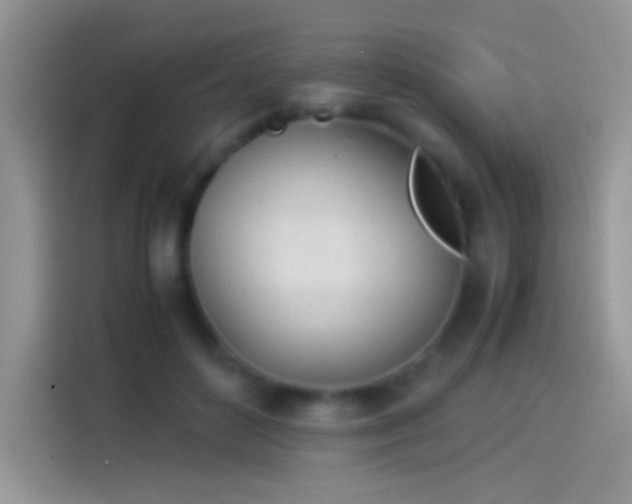 X0000114110504200910131345