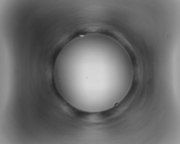 X0000114110505200910131345