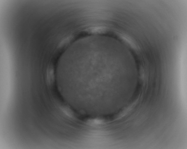 X0000114110506200910131345