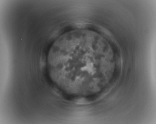 X0000114110507200910131345