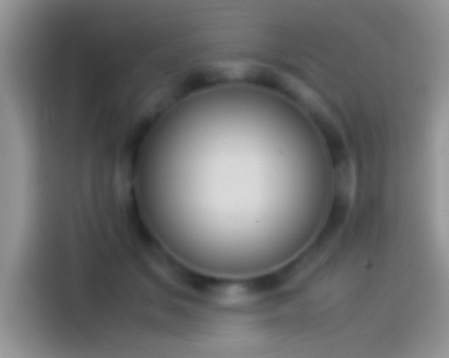 X0000114110509200910131345