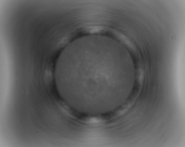 X0000114110510200910131345