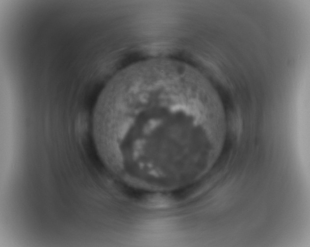 X0000114110511200910131345