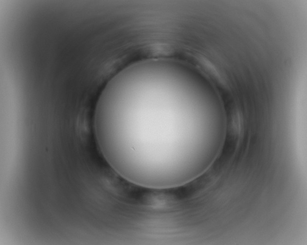 X0000114110512200910131345