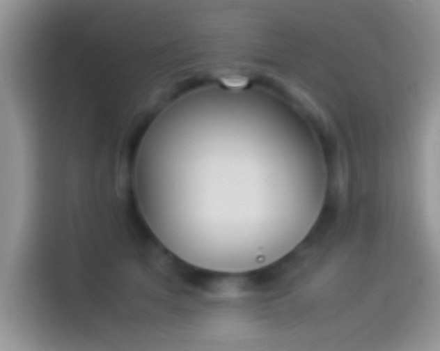 X0000114110513200910131345
