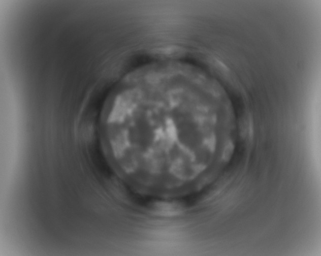 X0000114110515200910131345