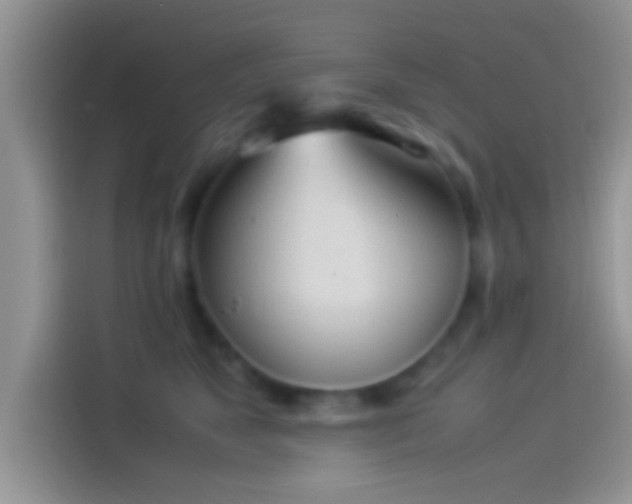 X0000114110517200910131345