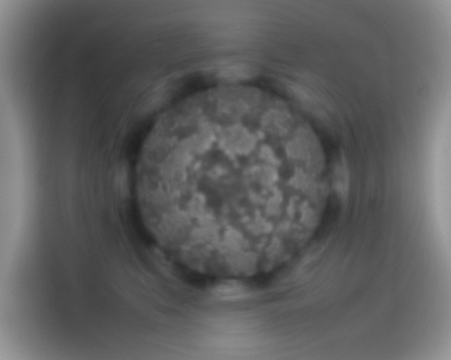 X0000114110519200910131345