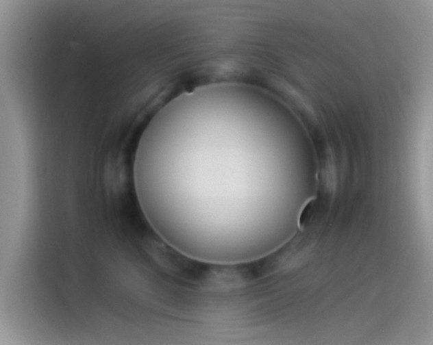 X0000114110520200910131345