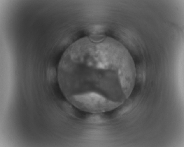 X0000114110523200910131345