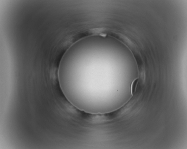 X0000114110525200910131345