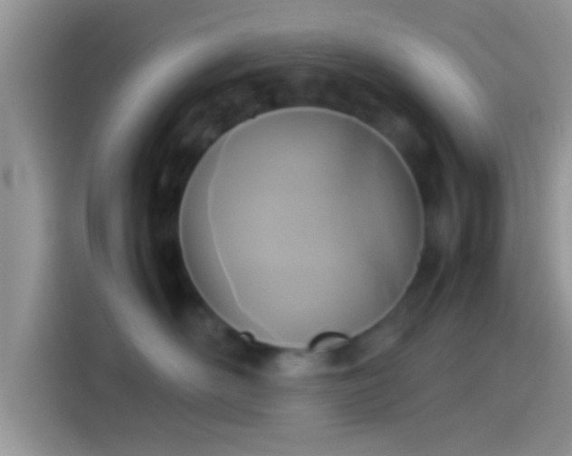 X0000114110526200910131345