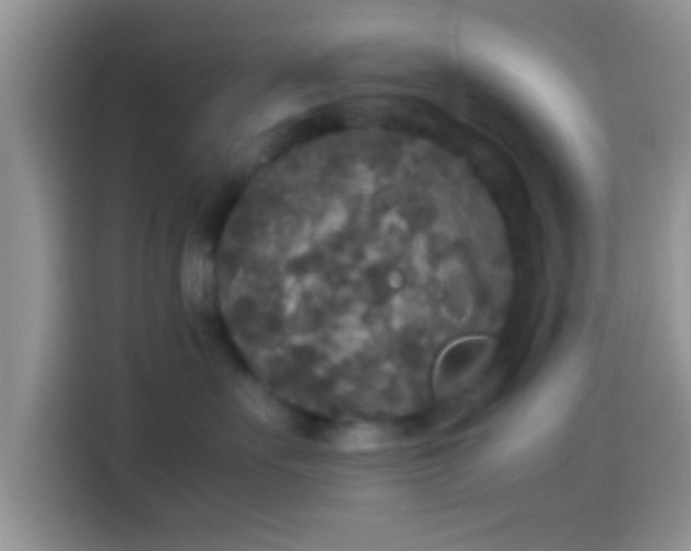X0000114110527200910131345