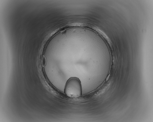 X0000114110529200910131344