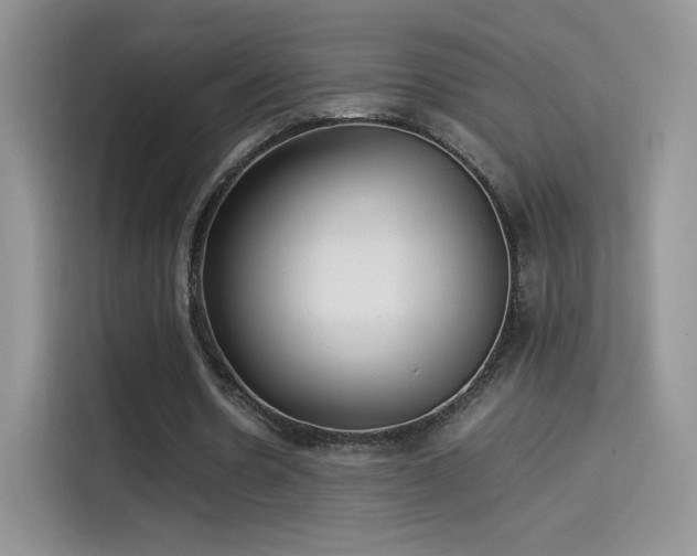 X0000114110530200910131344