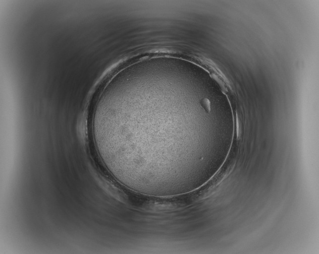 X0000114110531200910131344