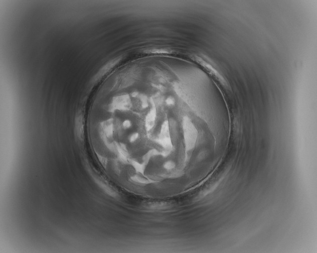 X0000114110533200910131344
