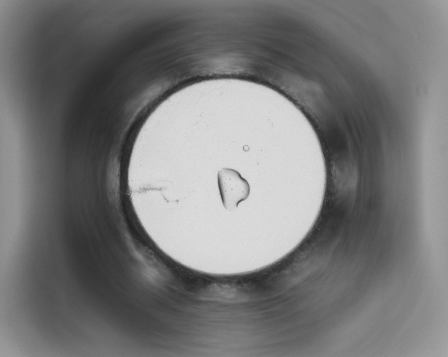 X0000114110534200910131344