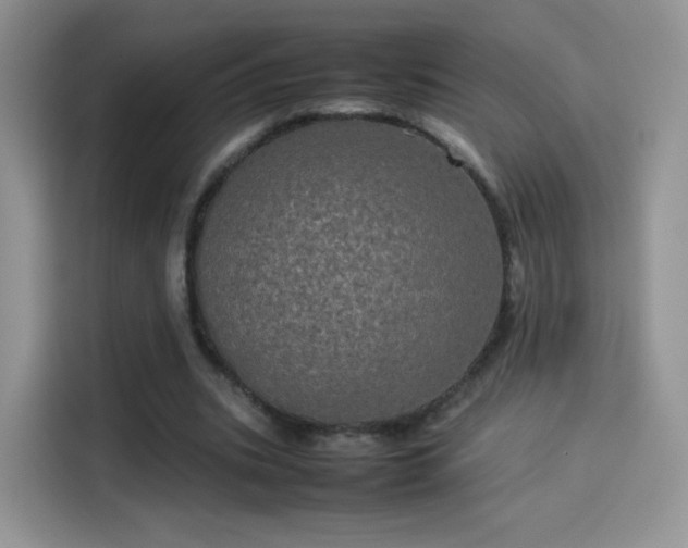 X0000114110535200910131344