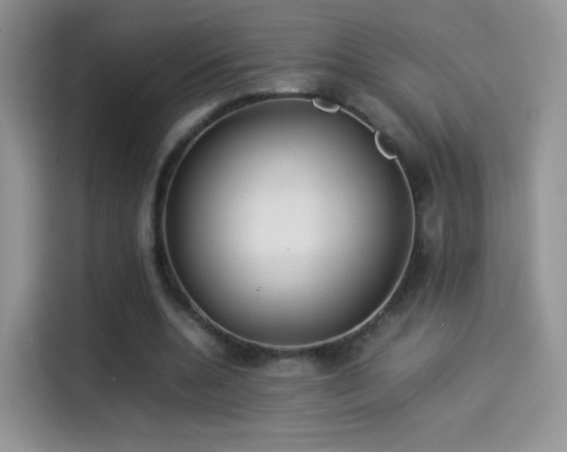 X0000114110536200910131344
