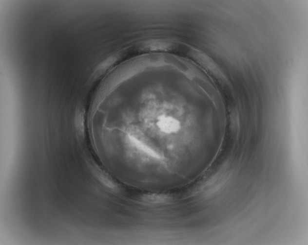 X0000114110537200910131344