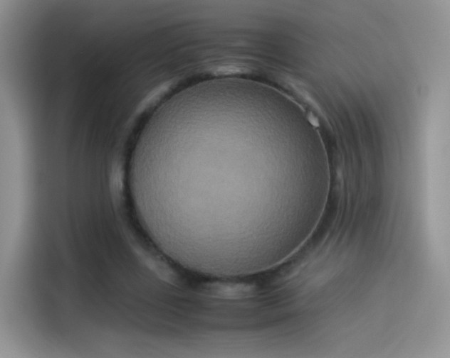 X0000114110539200910131344