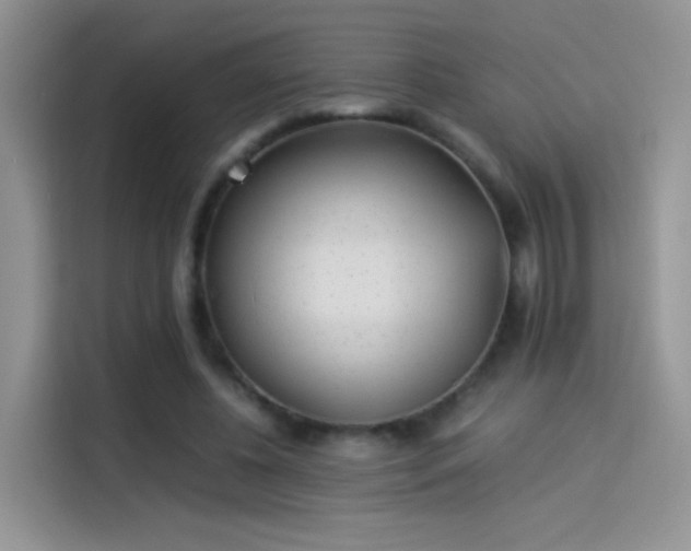 X0000114110540200910131345