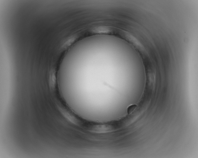 X0000114110541200910131345