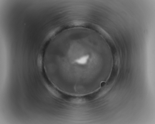 X0000114110542200910131345