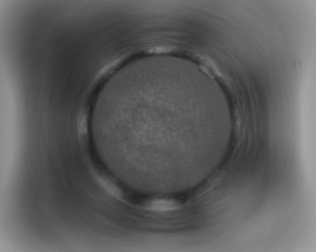 X0000114110543200910131345