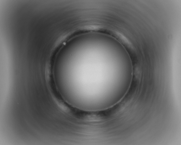 X0000114110544200910131345