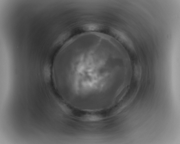 X0000114110545200910131345
