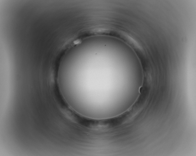 X0000114110546200910131345