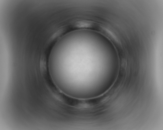 X0000114110547200910131345