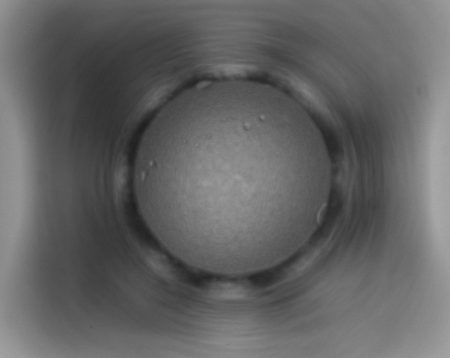 X0000114110548200910131345