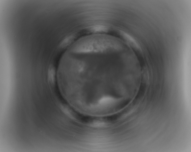 X0000114110550200910131345