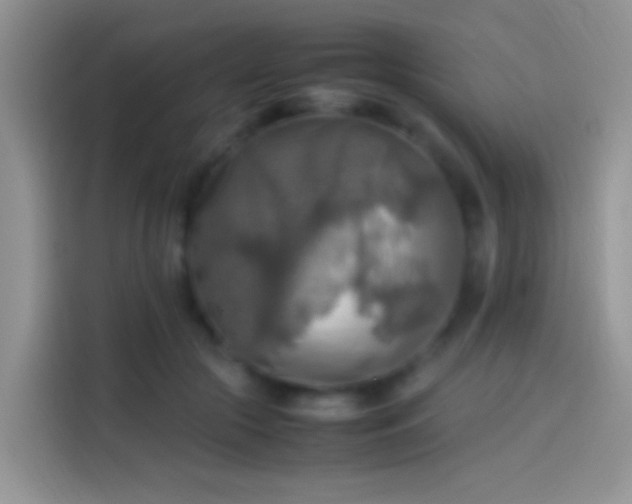 X0000114110553200910131345