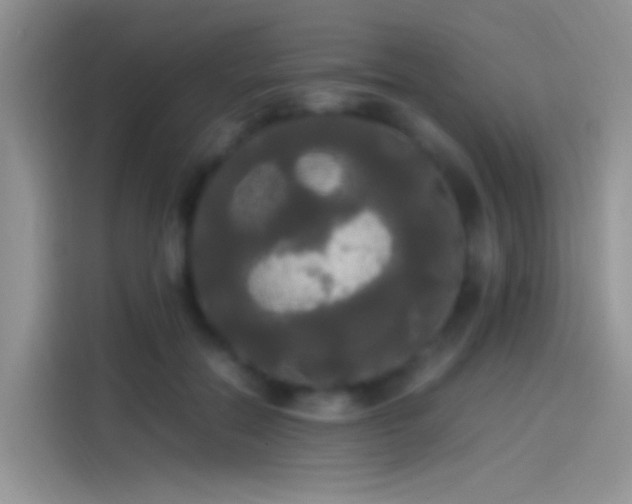 X0000114110554200910131345