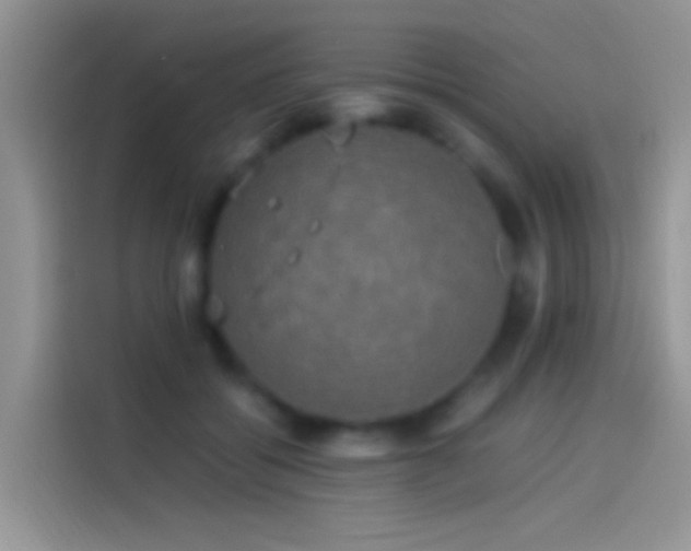 X0000114110556200910131345