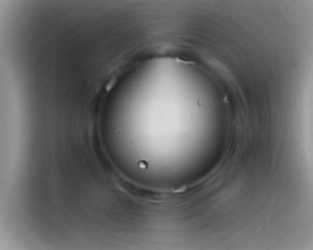 X0000114110558200910131345