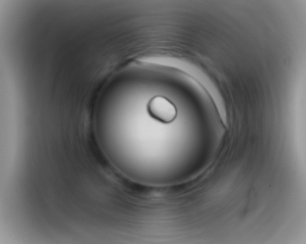 X0000114110560200910131345
