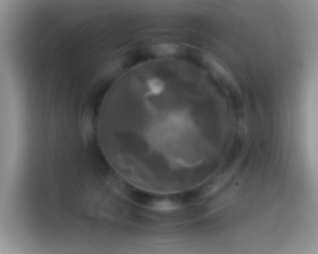 X0000114110561200910131345