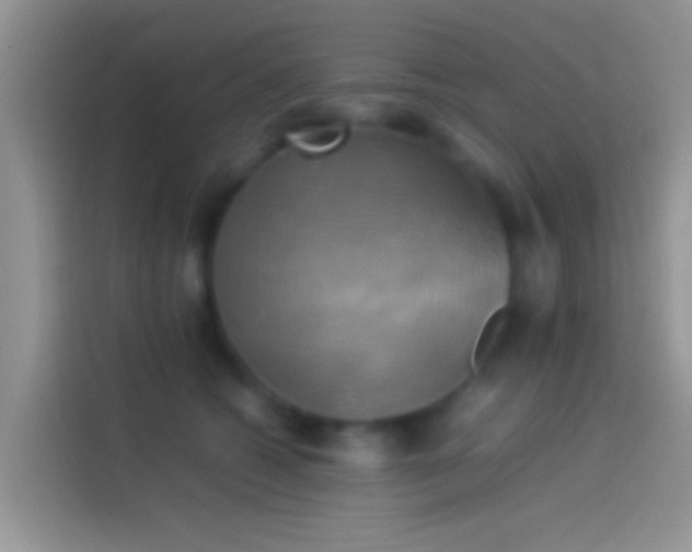 X0000114110562200910131345