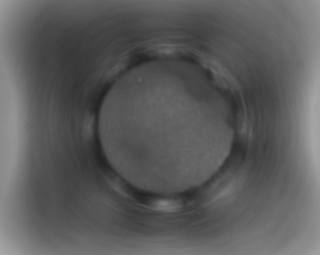 X0000114110563200910131345