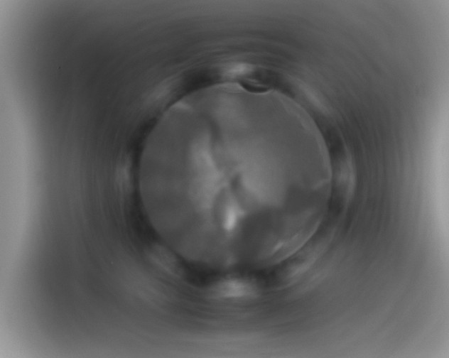 X0000114110565200910131345
