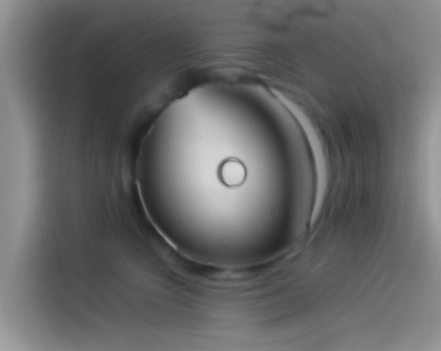 X0000114110566200910131345