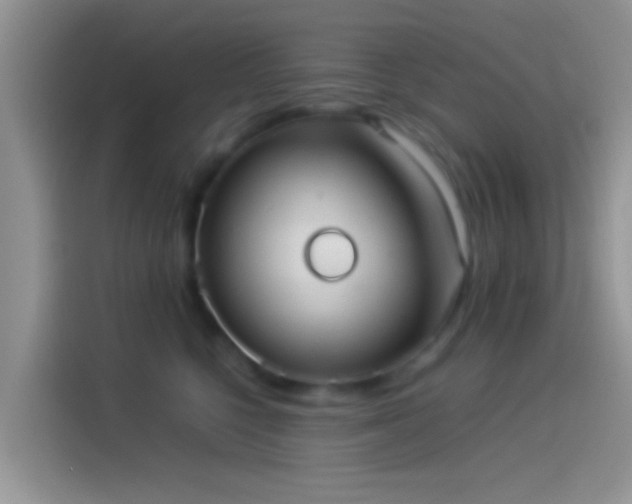 X0000114110568200910131345