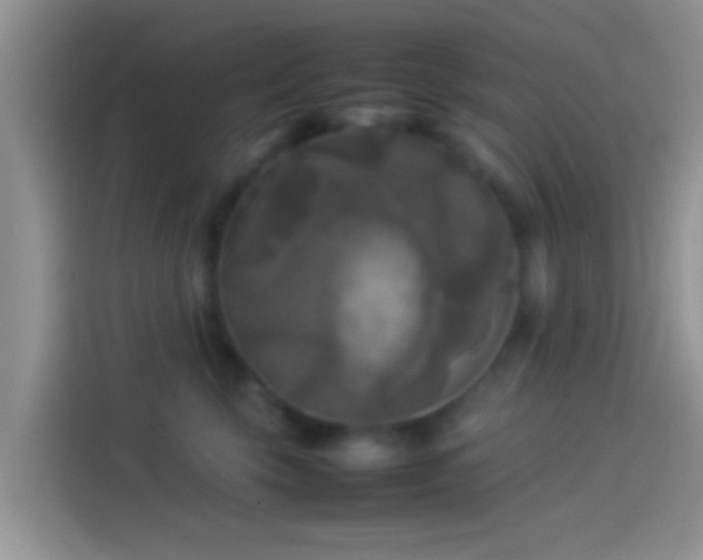 X0000114110569200910131345