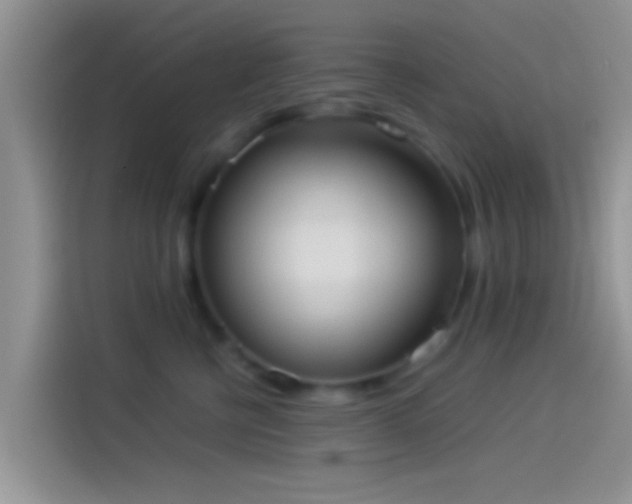 X0000114110570200910131345