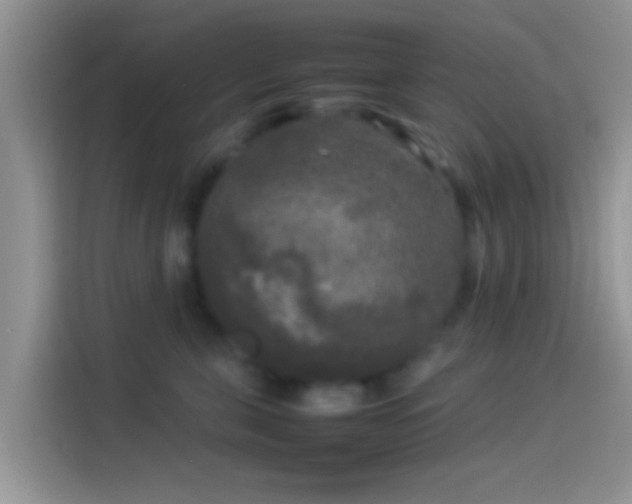 X0000114110571200910131345